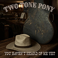 Two Tone Pony